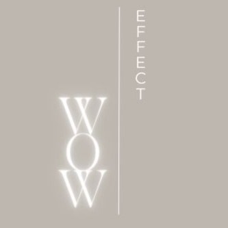 WOW EFFECT STUDIO |  projektowanie wnętrz