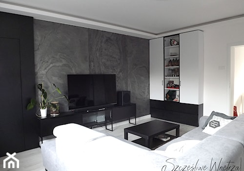 Mieszkanie dla młodego mężczyzny - Salon, styl nowoczesny - zdjęcie od Szczęśliwe Wnętrza Studio Projektowe