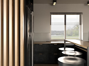 ciemna kuchnia w domu jednorodzinnym (fronty Ikea) - zdjęcie od Sędzicka - architekt, projektowanie wnętrz