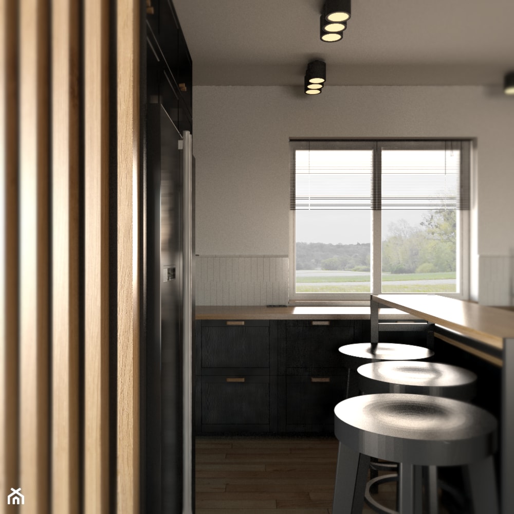 ciemna kuchnia w domu jednorodzinnym (fronty Ikea) - zdjęcie od Sędzicka - architekt, projektowanie wnętrz - Homebook