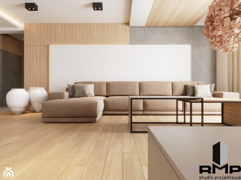 Minimalistyczny projektu domu - Salon, styl minimalistyczny - zdjęcie od rmstudio