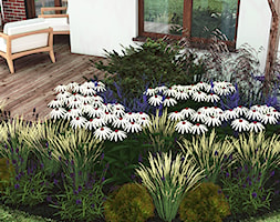 Fragment ogrodu z kwitnącą rabatą bylinową i trawami - Ogród, styl skandynawski - zdjęcie od Małe zielone studio - Homebook