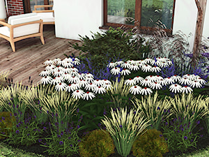 Fragment ogrodu z kwitnącą rabatą bylinową i trawami - Ogród, styl skandynawski - zdjęcie od Małe zielone studio