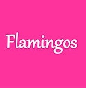 Flamingos