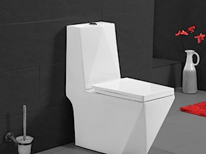 WC Kompakt DIAMENT Swiss Meyer