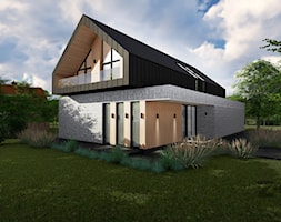Dom z basenem - Domy, styl nowoczesny - zdjęcie od Z-ARCHITEKTEM architektura i wnętrza - Homebook
