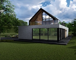 Dom z basenem - Domy, styl nowoczesny - zdjęcie od Z-ARCHITEKTEM architektura i wnętrza - Homebook
