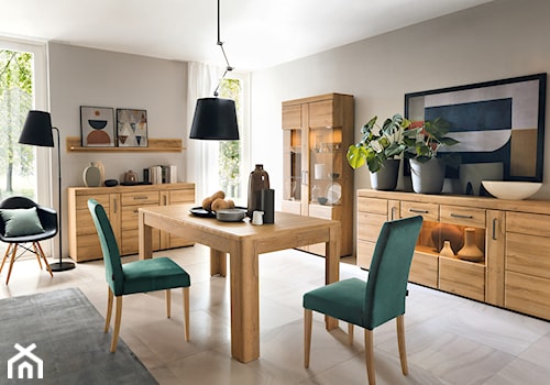 Kolekcja Master - krzesła do kuchni i jadalni - Jadalnia, styl skandynawski - zdjęcie od Meble Wójcik