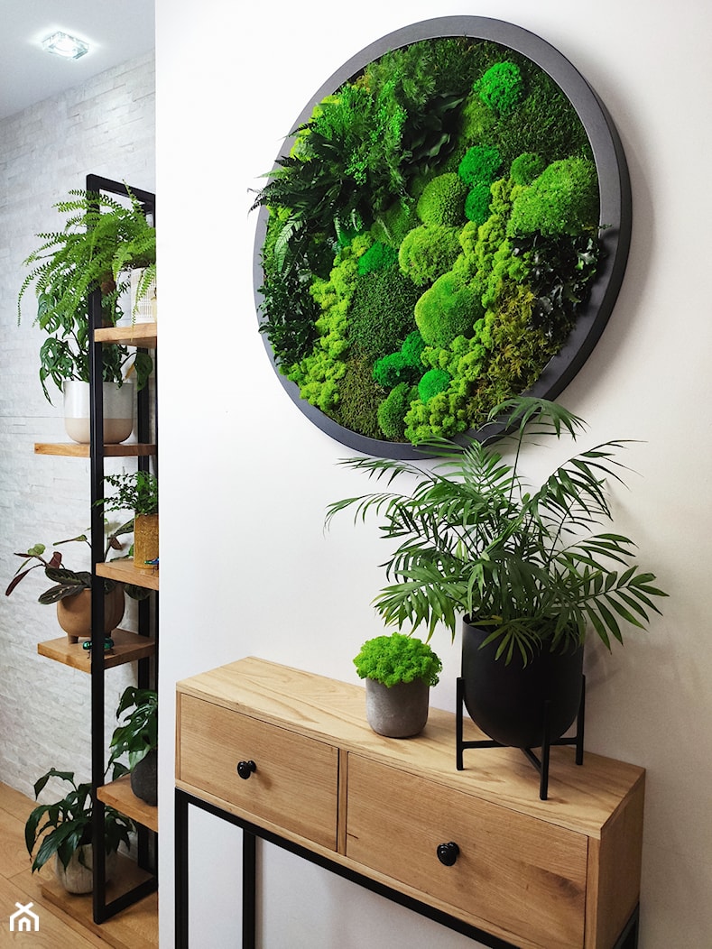 Obraz w kole z mchu i roślin stabilizowanych - zdjęcie od MOSS DESIGN nature beauty - Homebook