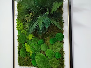 Obraz z mchu i roślin stabilizowanych - zdjęcie od MOSS DESIGN nature beauty