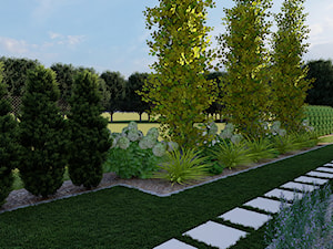 Ogród traw i kwiatów - zdjęcie od ogrody Dagi | projektowanie ogrodów