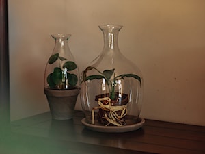 Szklane Terraria z glinianymy podstawkami - zdjęcie od Ecoglassworks 2
