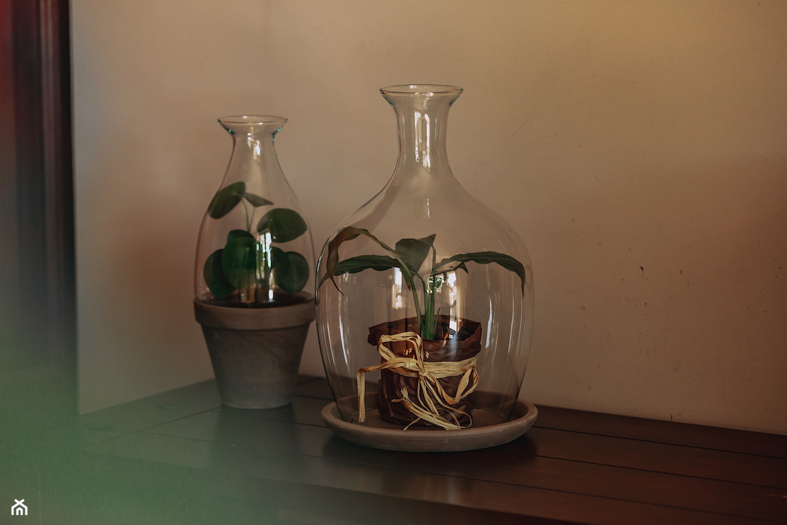 Szklane Terraria z glinianymy podstawkami - zdjęcie od Ecoglassworks 2 - Homebook