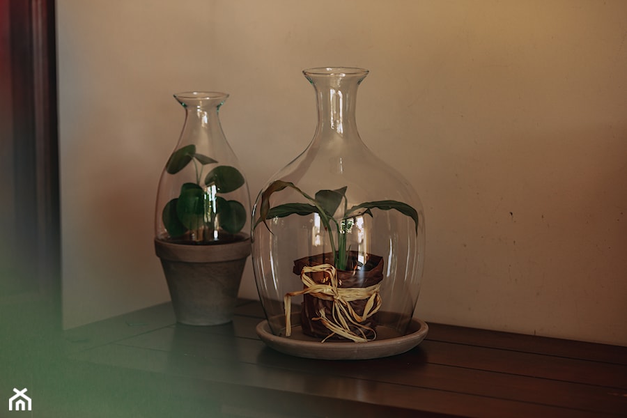 Szklane Terraria z glinianymy podstawkami - zdjęcie od Ecoglassworks 2