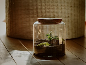 Szklane terrarium z korkiem - zdjęcie od Ecoglassworks 2