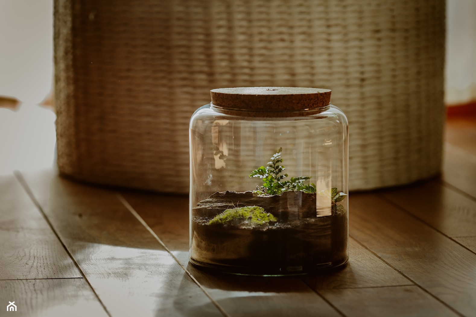 Szklane terrarium z korkiem - zdjęcie od Ecoglassworks 2 - Homebook