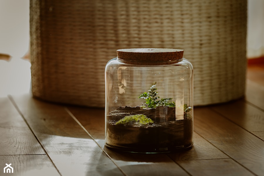 Szklane terrarium z korkiem - zdjęcie od Ecoglassworks 2