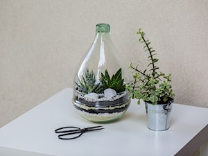 Szklane terrarium do roślin, 2-częściowy, kształt gruszki, optymalny do ogrodu w szkle w domu, biurze lub szkole - zdjęcie od Ecoglassworks 2