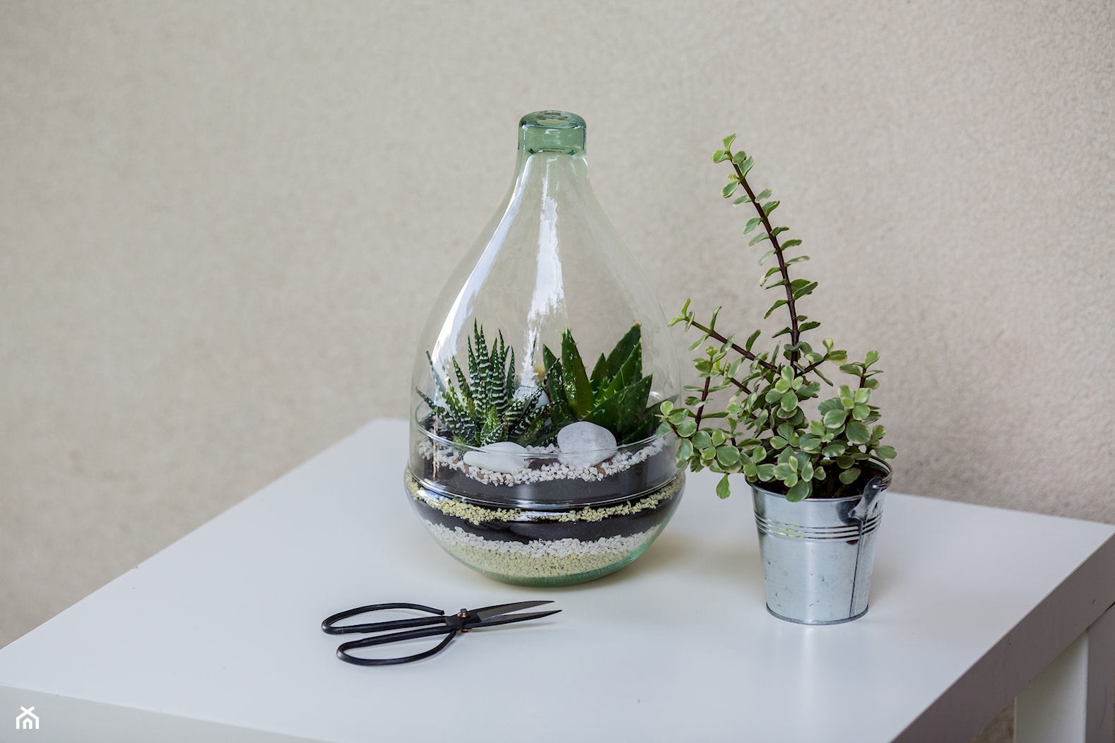 Szklane terrarium do roślin, 2-częściowy, kształt gruszki, optymalny do ogrodu w szkle w domu, biurze lub szkole - zdjęcie od Ecoglassworks 2 - Homebook