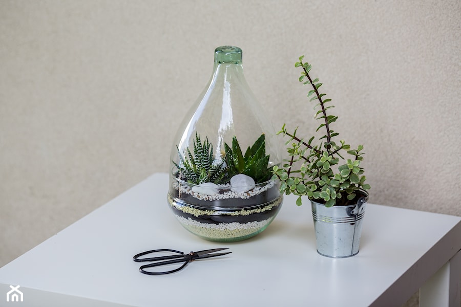 Szklane terrarium do roślin, 2-częściowy, kształt gruszki, optymalny do ogrodu w szkle w domu, biurze lub szkole - zdjęcie od Ecoglassworks 2