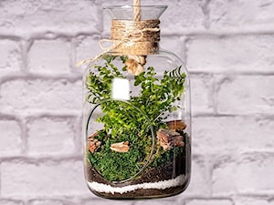 Szklane terrarium dla roślin z korkiem i sznurkiem do zawieszenia - zdjęcie od Ecoglassworks 2