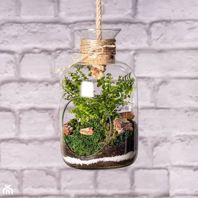 Szklane terrarium dla roślin z korkiem i sznurkiem do zawieszenia - zdjęcie od Ecoglassworks 2