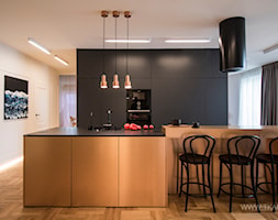 Apartament z miedzianą wyspą - Kuchnia, styl nowoczesny - zdjęcie od TK Architekci - Homebook