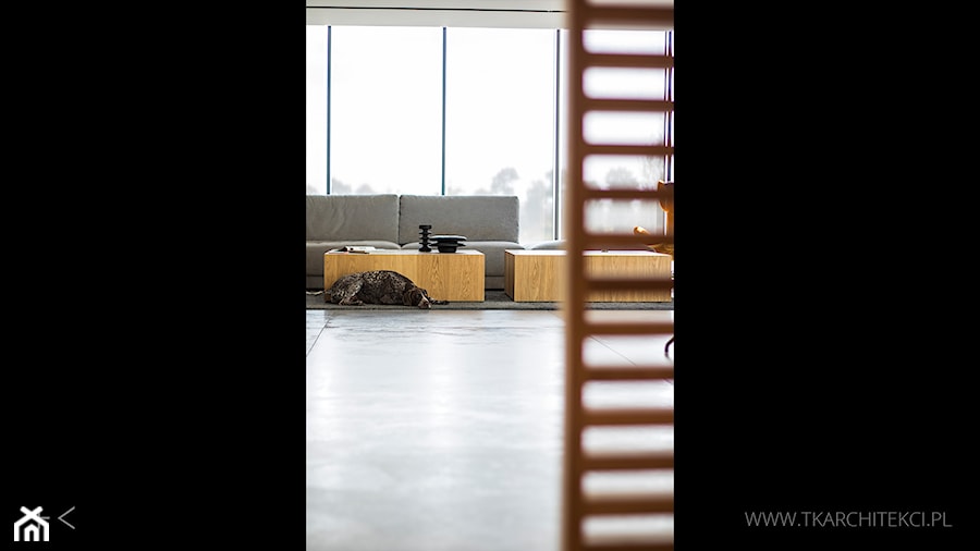 nowoczesny salon utrzymany w odcieniach szarości i ciepłego drewna - zdjęcie od TK Architekci