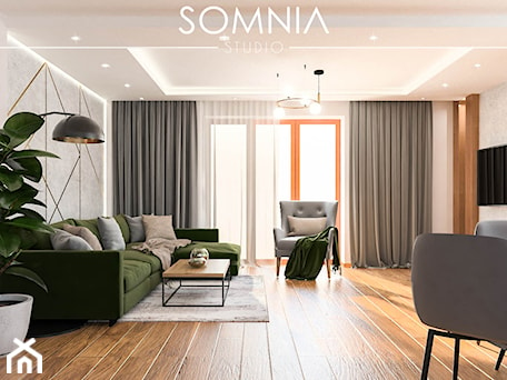 Aranżacje wnętrz - Salon: Nowoczesny Salon - Somnia Studio Architektura Wnętrz. Przeglądaj, dodawaj i zapisuj najlepsze zdjęcia, pomysły i inspiracje designerskie. W bazie mamy już prawie milion fotografii!