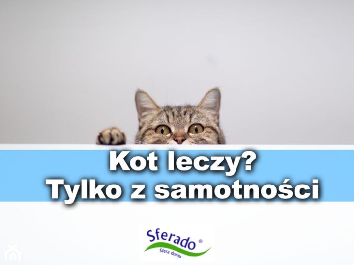 Materace ortopedyczne dla każdego! - zdjęcie od Sferado - Homebook