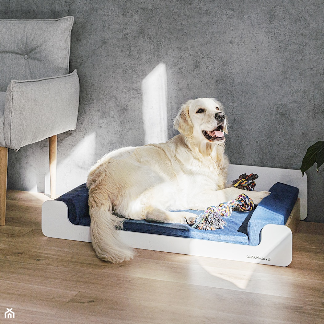Łóżko - legowisko dla psa - zdjęcie od Cecil&Prudence - Homebook