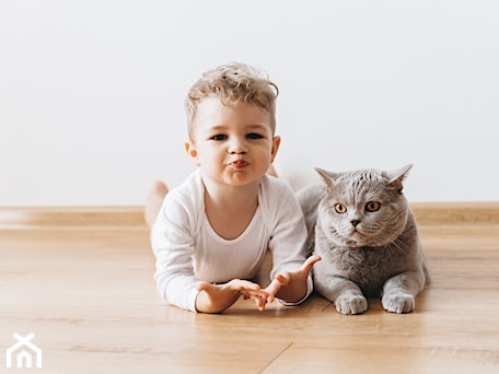 Aranżacje wnętrz - : - THOMAS odkurzacze wodne. Przeglądaj, dodawaj i zapisuj najlepsze zdjęcia, pomysły i inspiracje designerskie. W bazie mamy już prawie milion fotografii!