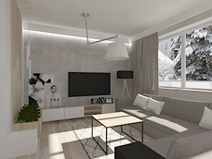 mieszkanie Skierniewice - Mały szary salon, styl skandynawski - zdjęcie od Aleksandra Podsiadła