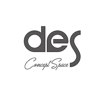 DES Concept Space