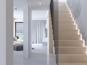 D557 Dom w Bibicach - Hol / przedpokój, styl nowoczesny - zdjęcie od Mist Architects