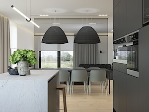 D555 Dom w Libertowie - Kuchnia, styl nowoczesny - zdjęcie od Mist Architects