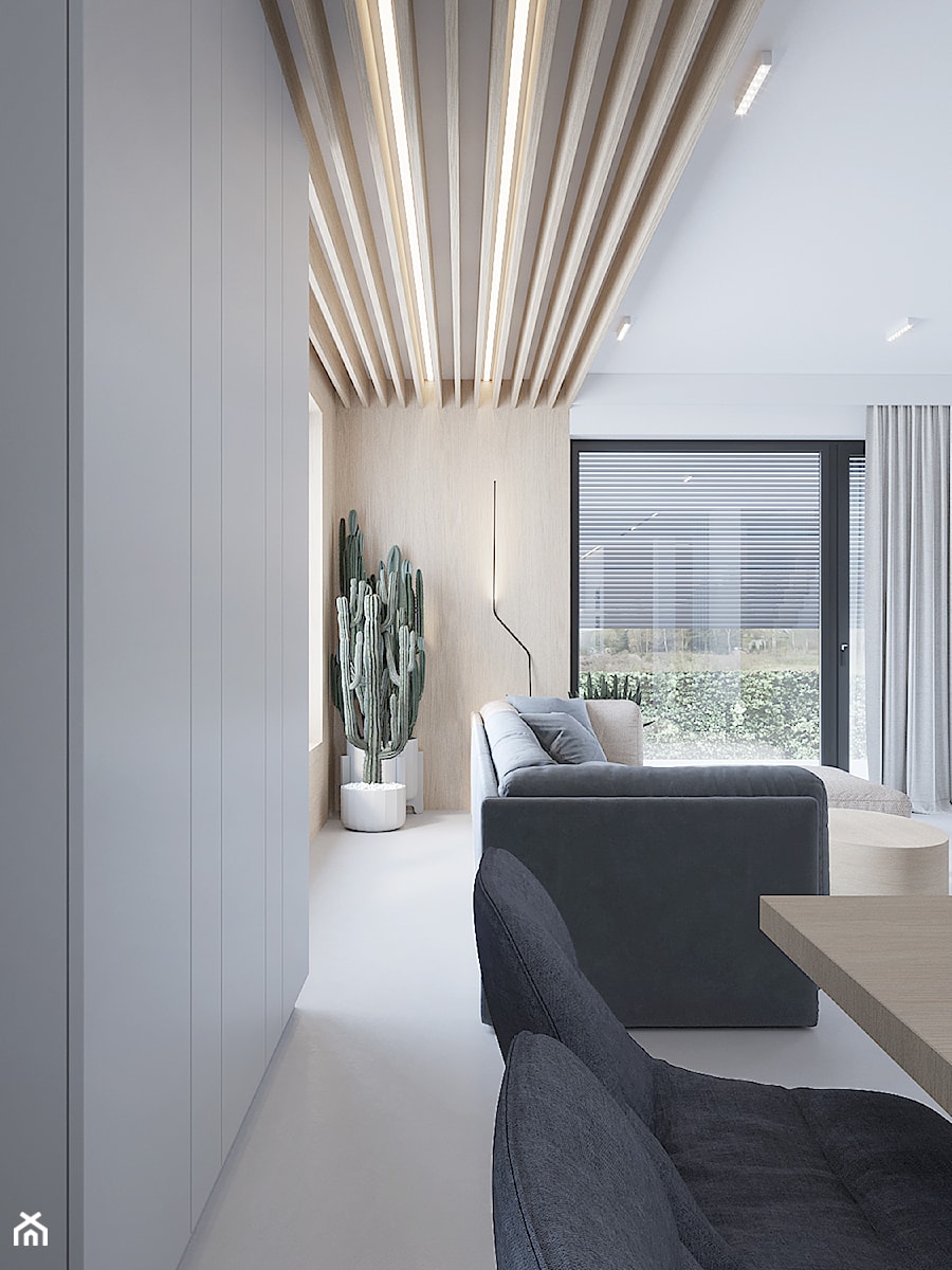 D557 Dom w Bibicach - Salon, styl nowoczesny - zdjęcie od Mist Architects