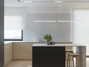 D555 Dom w Libertowie - Kuchnia, styl nowoczesny - zdjęcie od Mist Architects
