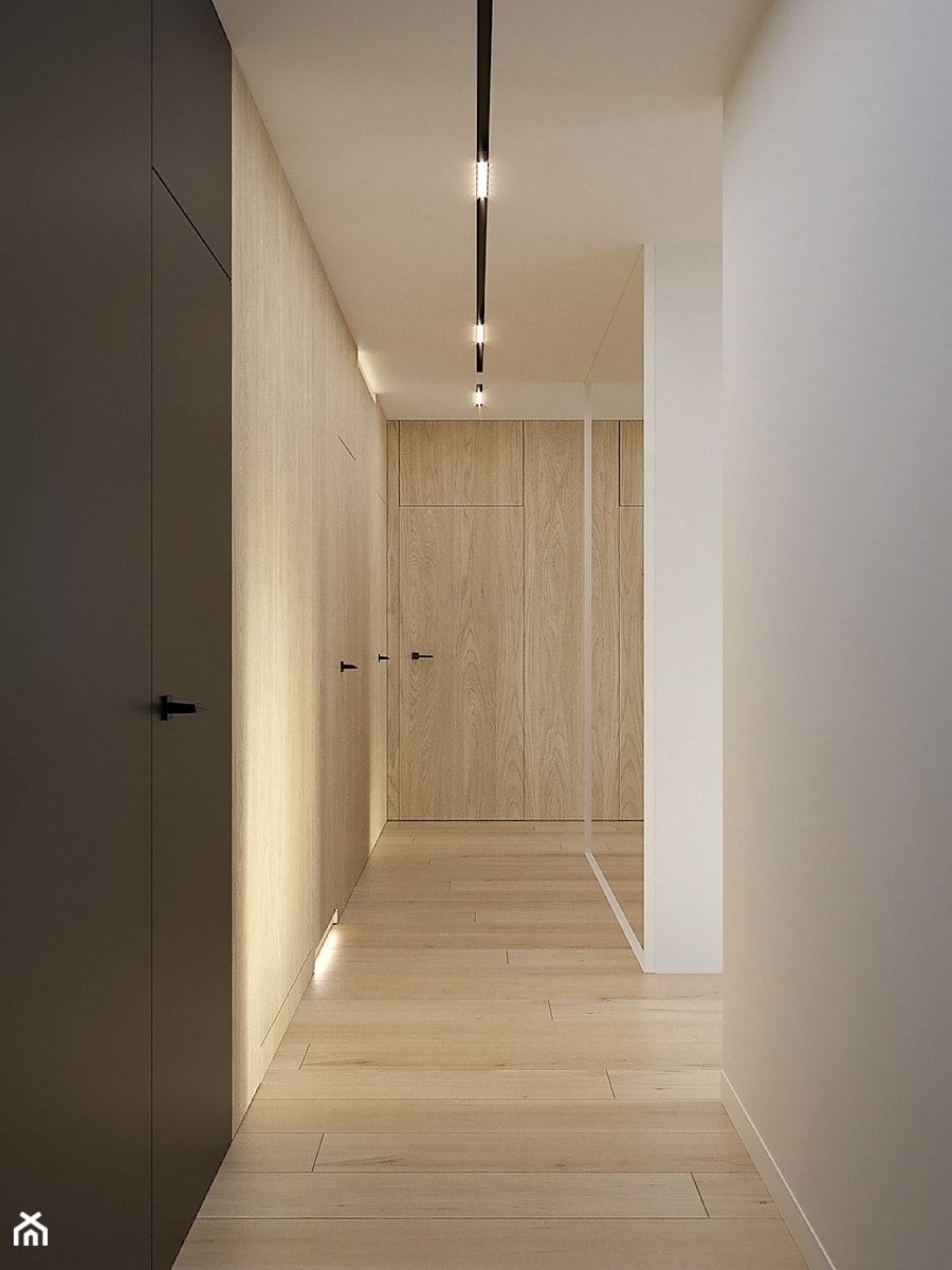 D555 Dom w Libertowie - Hol / przedpokój, styl nowoczesny - zdjęcie od Mist Architects