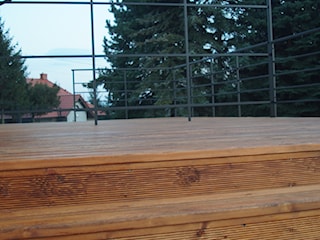 Taras i balkon drzewo modrzew syberyjski