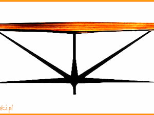 Stół na jednej rozłożystej nodzę - zdjęcie od CADrysunki.pl loft meble industrialne w nowej odsłonie pod wymiar.