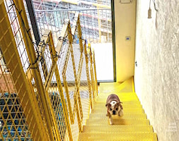 Żółte schody metalowe - zdjęcie od GDEL HOME DESIGN - Homebook