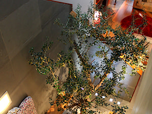 Rezydencja z drzewem - Schody, styl nowoczesny - zdjęcie od Dorota Szaroszyk