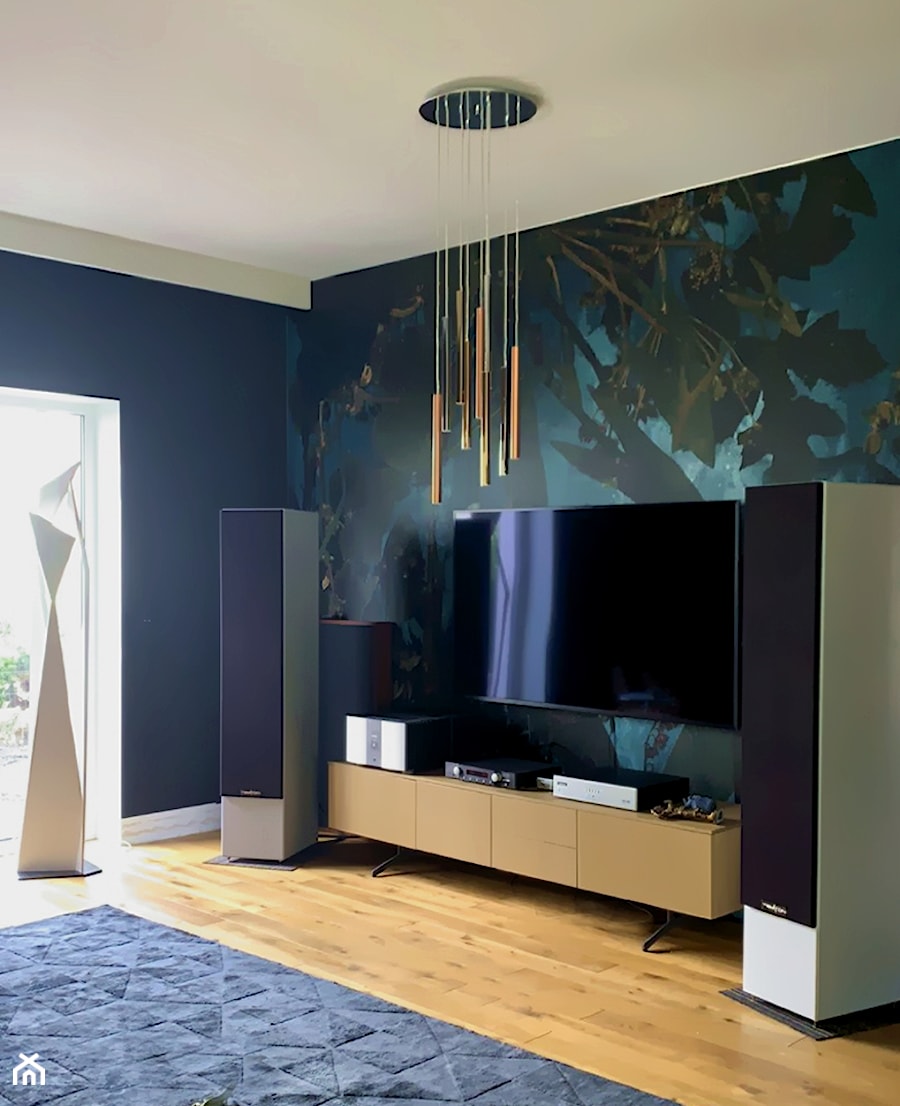 Pokój telewizyjny - zdjęcie od QIOTO design