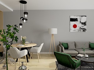Apartamenty "Pelikan" w Pasłęku - Salon, styl nowoczesny - zdjęcie od ZOU ZOU Interior Designer