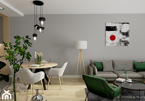 Apartamenty "Pelikan" w Pasłęku - Salon, styl nowoczesny - zdjęcie od ZOU ZOU Interior Designer