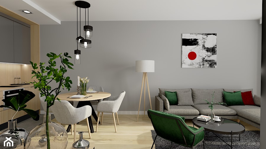 Apartamenty "Pelikan" w Pasłęku - Salon, styl nowoczesny - zdjęcie od ZOU ZOU Interior Designer