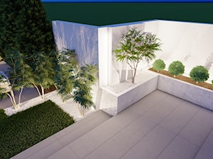 Projekt nowoczesnego ogrodu z trawami - Stefa przestrzeni - projektowanie ogrodów i tarasów - zdjęcie od Strefa Przestrzeni