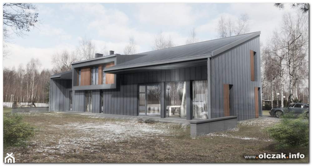projekt nowoczesnego domu z jednospadowym dachem - Nowoczesne domy, styl nowoczesny - zdjęcie od Architekt Maciej Olczak - Homebook