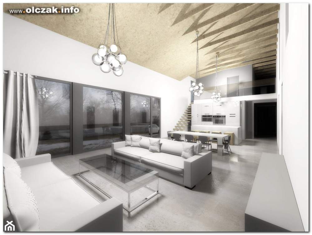 projekt nowoczesnego domu z jednospadowym dachem - Salon, styl nowoczesny - zdjęcie od Architekt Maciej Olczak - Homebook